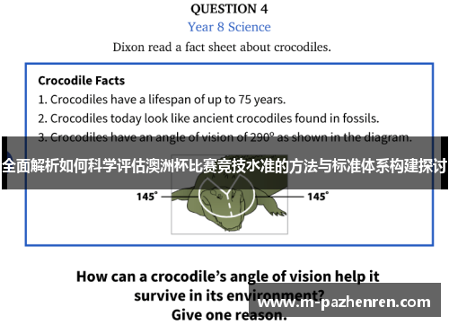 全面解析如何科学评估澳洲杯比赛竞技水准的方法与标准体系构建探讨 全面解析如何科学评估澳洲杯比赛竞技水准的方法与标准体系构建探讨