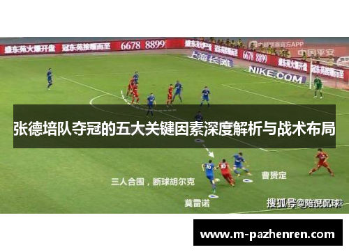 张德培队夺冠的五大关键因素深度解析与战术布局