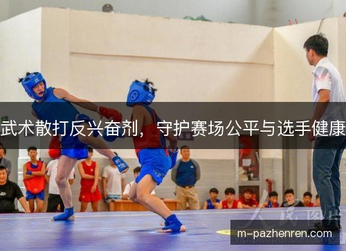 武术散打反兴奋剂,守护赛场公平与选手健康 武术散打反兴奋剂,守护赛场公平与选手健康
